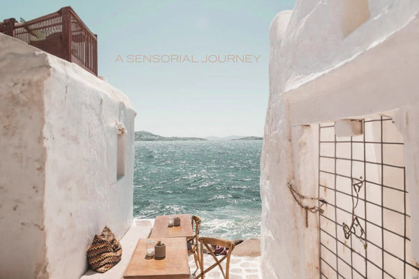 أطلق العنان لرائحة الصيف الآسرة: دليل سويس أرابيان لأفضل روائح الموسم 