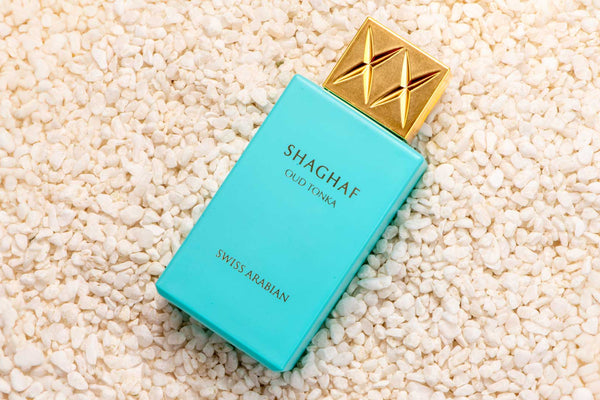 همسات الشتاء: دليل سويس أريبيان لأفضل العطور لهذا الموسم! 