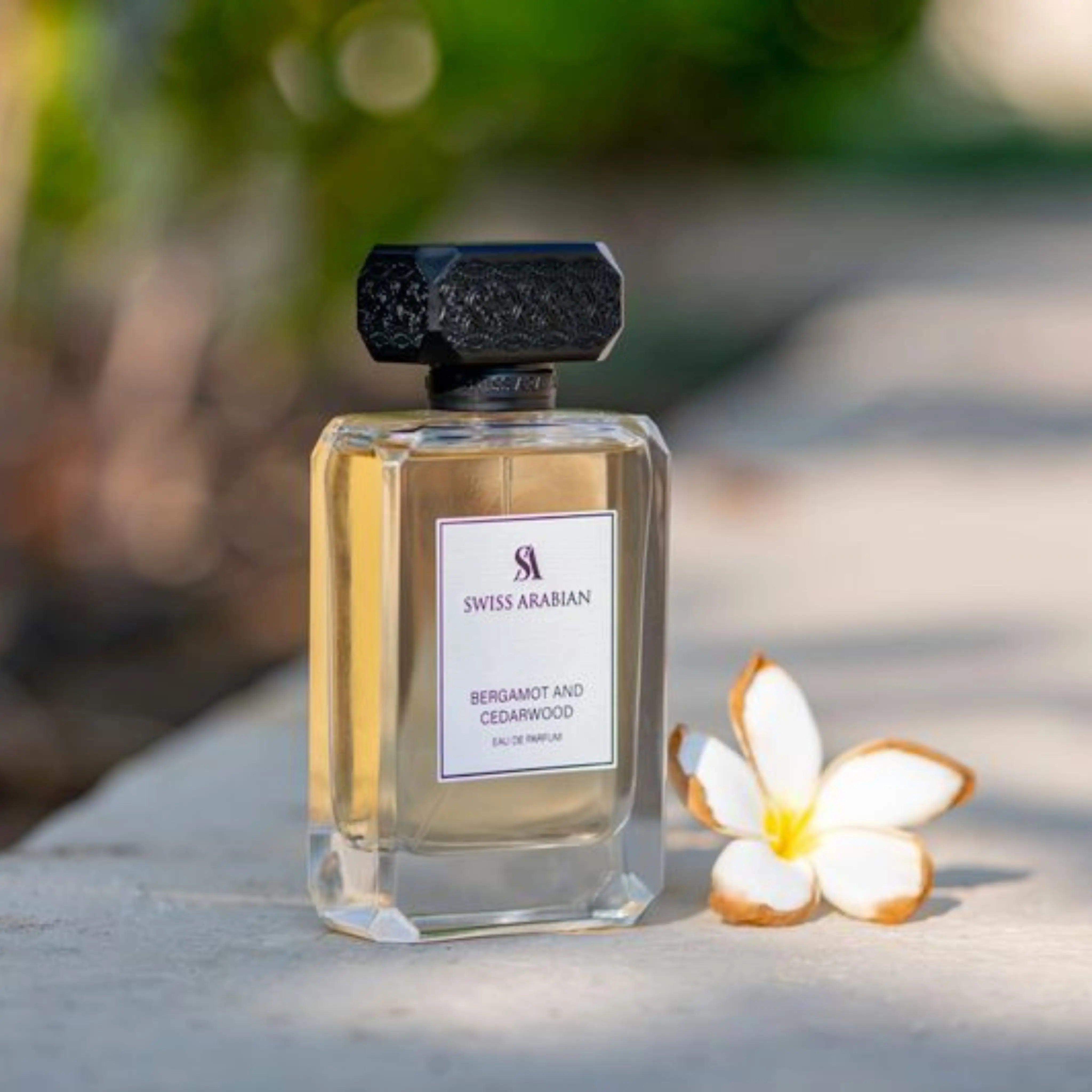 Bergamot Cedarwood – Citrus Woody Eau De Parfum – Swiss