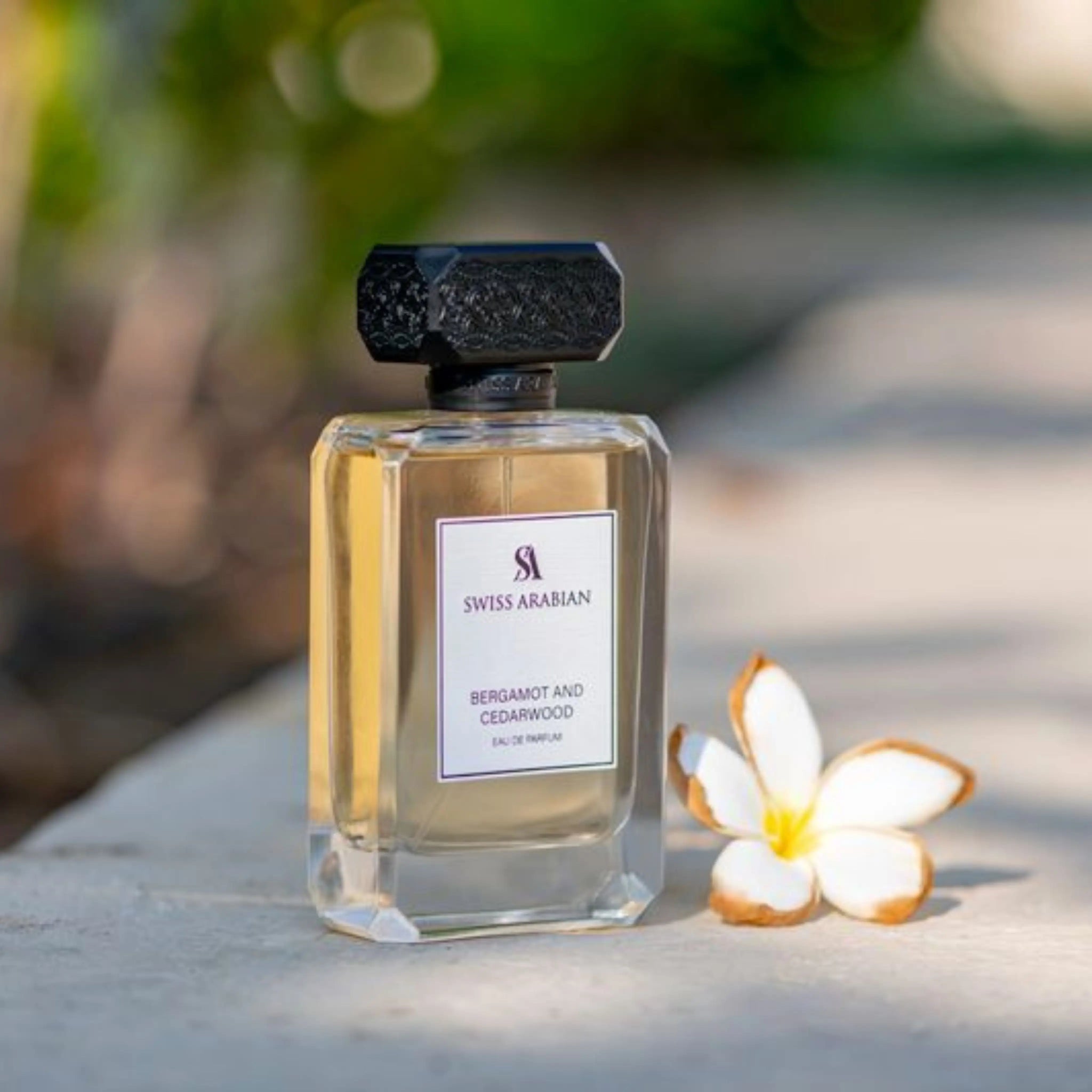 Bergamot Cedarwood – Citrus Woody Eau De Parfum – Swiss