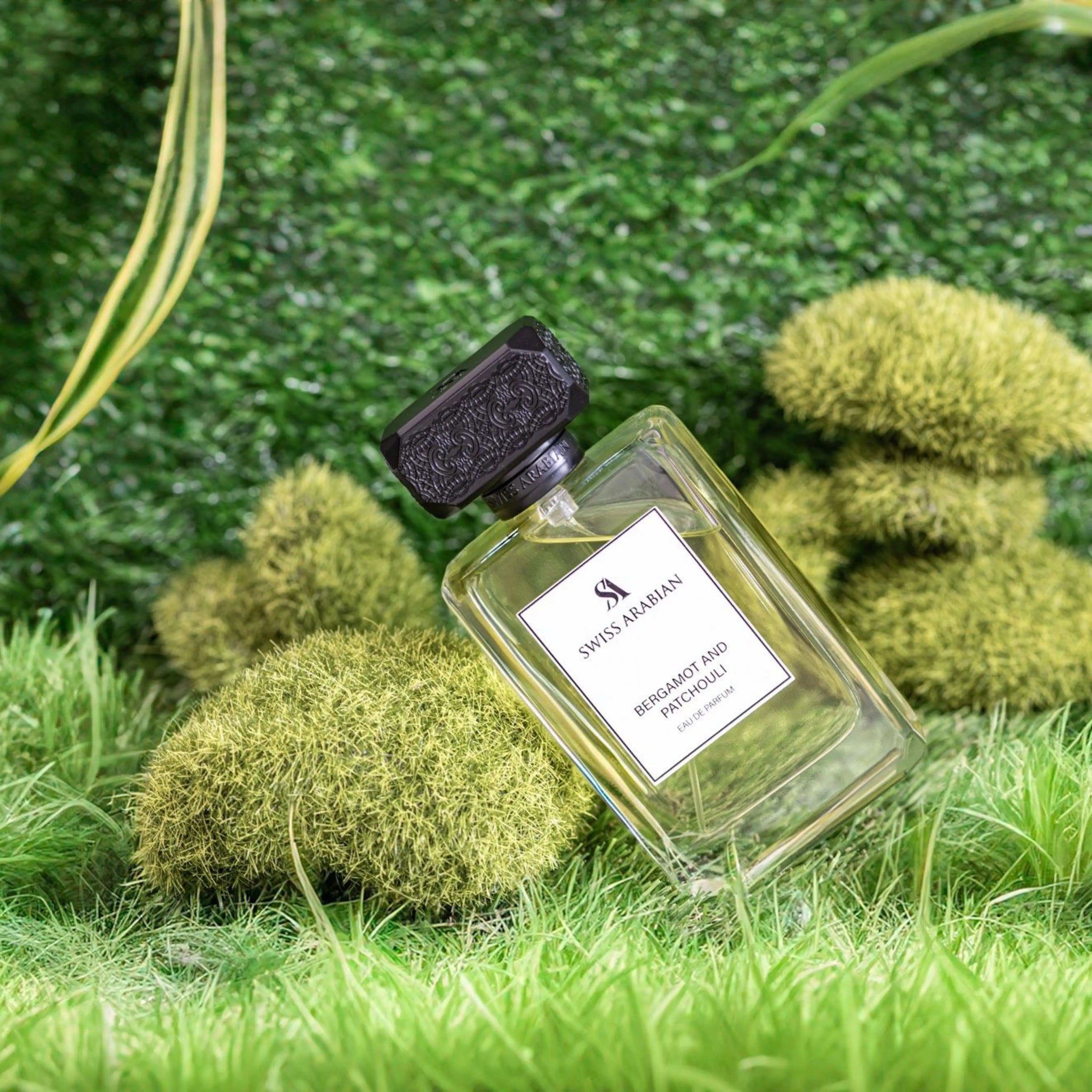 Bergamot & Patchouli – Citrus Woody EDP | Swiss Arabian UAE
